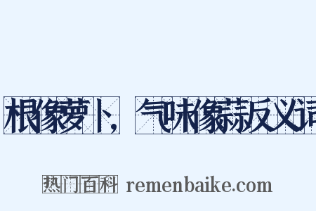 根像萝卜,气味像蒜反义词是什么意思的图片